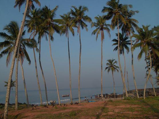Oceanic Beach Residency Varkala Exterior photo
