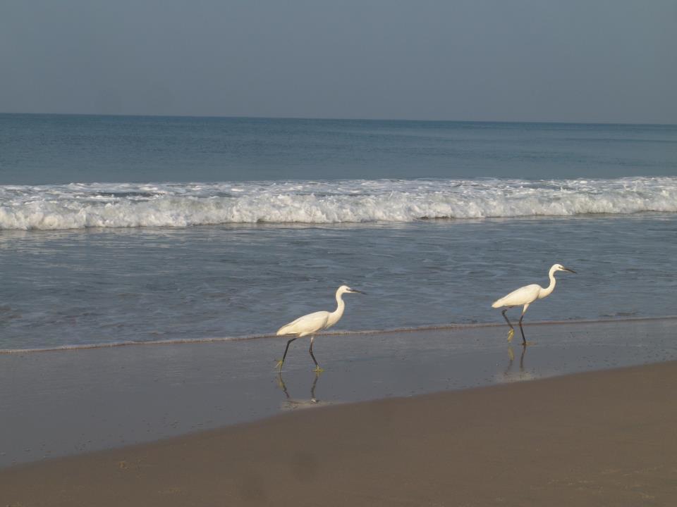 Oceanic Beach Residency Varkala Exterior photo
