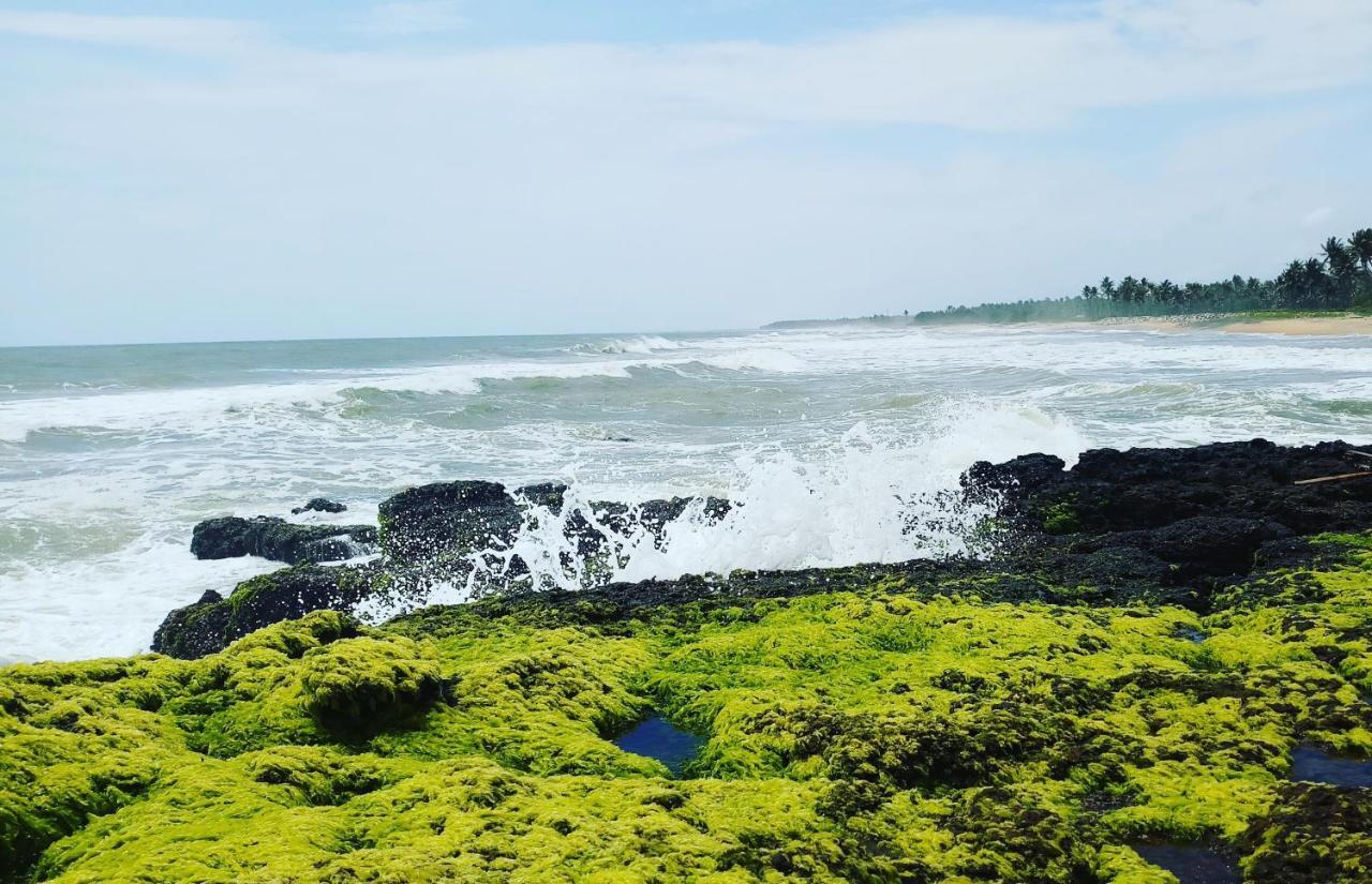 Oceanic Beach Residency Varkala Exterior photo