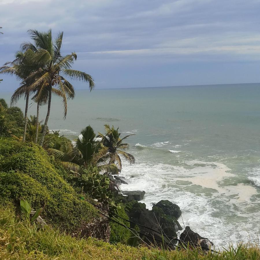 Oceanic Beach Residency Varkala Exterior photo